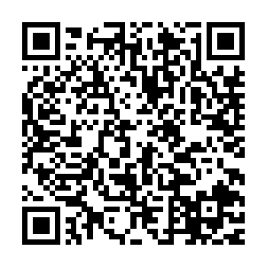 内部的底蕴远远超出这任何一个正道门派的……不敢说宗师多如狗二维码生成