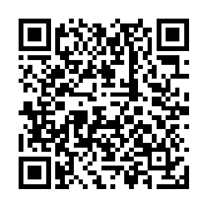 内里原本仅有的一点点灵气早已被猴子吸了个干净二维码生成