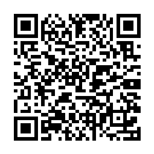 内门中的大乘期顶峰的高手留下百分之二十就可以了二维码生成