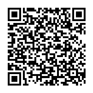 内院强者和内院高层对由谁前去秘境对外院进行考核并无多大的关注二维码生成