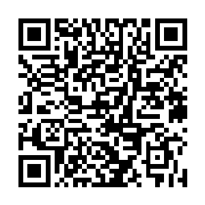 冉依柔和于可人见杨开抱着一个瘦成皮包骨的女人回来二维码生成