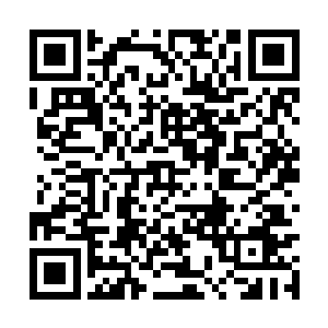 冉冉倒是一眼就看出了风天翔和秦月瑶此时的状态二维码生成