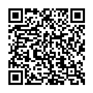 再一次开始合作收取着白玉石柱大阵之内的傀儡二维码生成