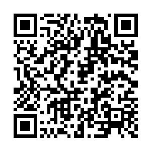再一次执行任务中他最好的兄弟被犯罪分子杀害二维码生成