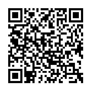 再一次朝着丹尘子的身上发出了一道强悍的冰蓝二维码生成
