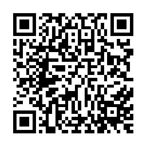 再一次的站在病房前透过玻璃窗看到叶海凝安静的躺在病床上二维码生成