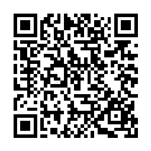 再一次见到了这个唯一让巨神灵深恶痛绝的种族二维码生成