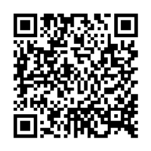 再三交代他这次兰花展和雁湖村免费开放的事情要同时进行二维码生成