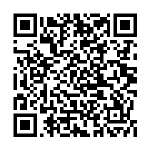 再不敢小觑对面仙人的危险……如主公猜测不错二维码生成