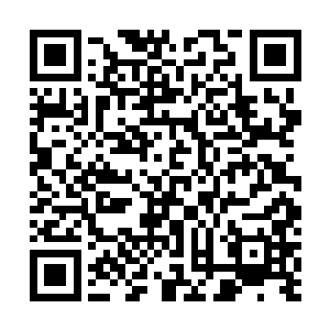 再不济也应该找你好基友入江正一啊……带个猫算什么事二维码生成