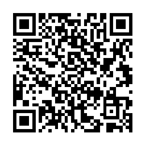 再也不如同以前一般拿着他自己的小毯子躺在另外的半张床上二维码生成