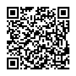 再也不是六年前那个傻傻的任自己欺负的小女孩儿了二维码生成