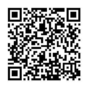 再也不是那种不用为吃饭穿衣发愁的年少轻狂了二维码生成