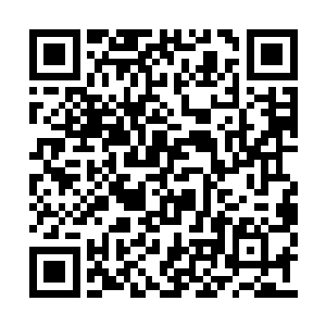 再也忍受不了哥哥被关在环境恶劣的精神病院里二维码生成