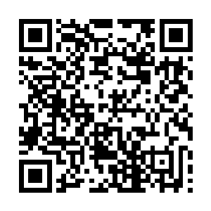 再也没有任何与十八颗神珠和世界秘密有关联的信息二维码生成