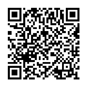 再也没有关于洞虚老祖和无昆上人的消息传出了二维码生成