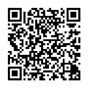 再亮出红牌――伊布拉希莫维奇就这么被罚出场了二维码生成