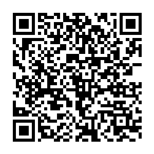 再到后来这个箱子和里面的外星人成了只有白角族大巫才会知道的秘密二维码生成