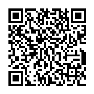 再到开始独立执导了两部小成本的都市爱情片和都市喜剧片二维码生成