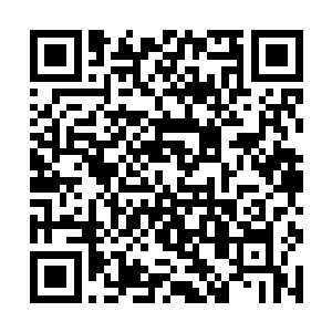 再剩下来的人也被恐怖的震荡波暂时破坏了脑干神经二维码生成
