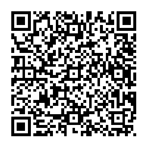 再加上一个从内到外都漂亮到不像话的王靖露……这妥妥的是偶像言情剧的三人组二维码生成