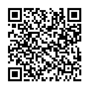 再加上一大堆正式巫师和二级巫师实力的异族辅助二维码生成