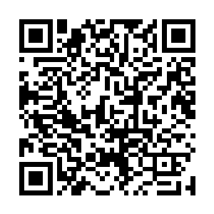 再加上一票神性者图腾灵以及半神巨蝎作为小弟与打手二维码生成