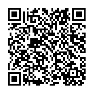 再加上一群重新得到了当年的力量的五色龙……金属龙们无法想象那样的场景二维码生成