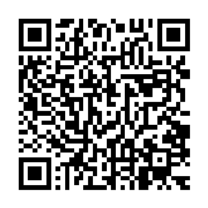 再加上东圣殿从来不理会各个王朝以及各个剑宗之间的争斗等等二维码生成