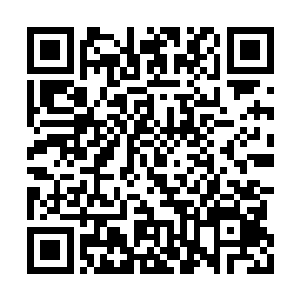 再加上之前潜伏的很多看不惯金梁年少成名的人二维码生成