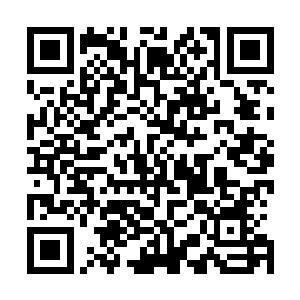 再加上之前请教过郎坚白关于文征明画作的特点及注意事项二维码生成