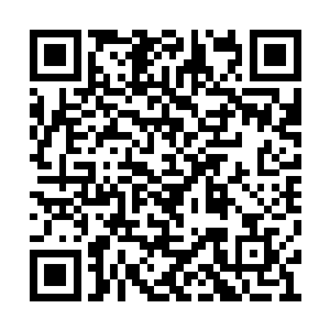 再加上从后面闪现上来的石头人以及蝎子的输出二维码生成