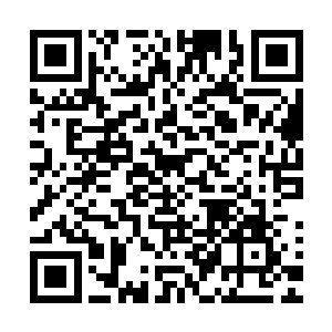 再加上他们之中任意一人都可以通过秘法跟这邪剑仙同归于尽二维码生成