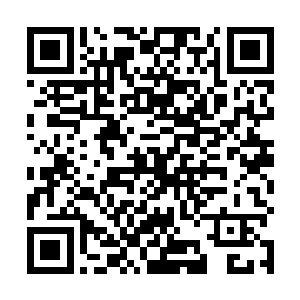 再加上他们之前购买的一些符篆宝物足以对付这狮王了二维码生成
