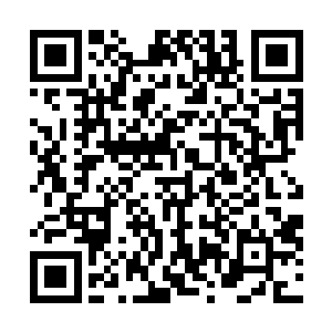 再加上他当年退役后是在首都体育大学读的本科和研究生二维码生成