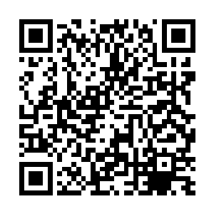 再加上他故意制造出一种今天去猎熊明天去搏狮的假象二维码生成
