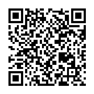 再加上他身后背着的那个小女孩一直处于沉睡状态二维码生成