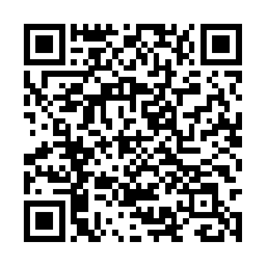 再加上众仙全力输出抵偿了部分天罗地网残余粘附二维码生成