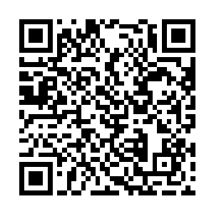 再加上俄罗斯北极熊三大超能力者机构的玩具而已二维码生成