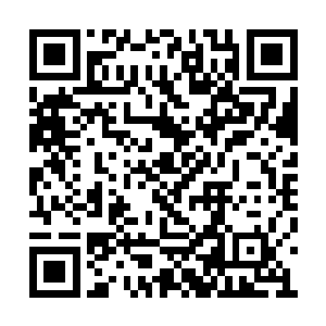 再加上先帝和护国公主当日留给他的人脉和财富二维码生成