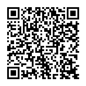 再加上刚刚那一击是斩仙葫芦孕育了这么多年力量所发出的第一次攻击二维码生成