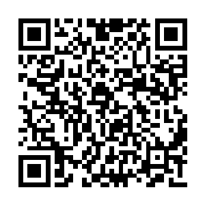再加上刺入黄金罪民王的心脏时受到力量的反击二维码生成