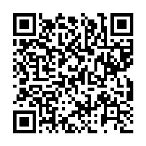 再加上外公一次次在她面前夸萧摇如何如何的聪明二维码生成