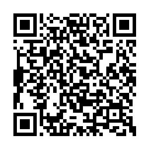 再加上孙子轩在登仙路当中捡漏捡来的那些仙器二维码生成