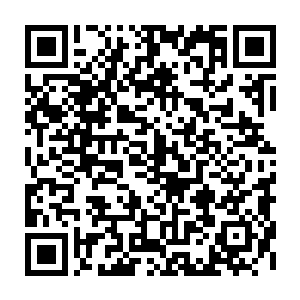 再加上少主您升为黑白级双料贵族以及其他人升为黑色级外围贵族的奖励资金二维码生成