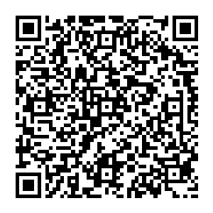 再加上张铁那几乎无人能敌的水下速度和几乎可以无限制在水下呼吸的能力与对地河前方情况的预判与了解二维码生成