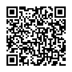 再加上愤怒之前展现出来的那种召唤天国之门和爱丽丝的能力二维码生成