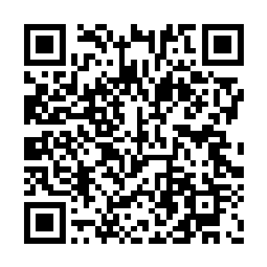 再加上整整一百个先驱者文明留下的遗骸和秘宝二维码生成