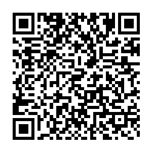 再加上最近已经开始启动宣传的四大美人乐队第一次巡回演唱会……二维码生成