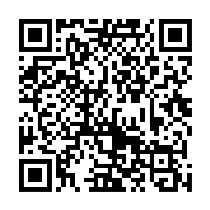 再加上杜遥与墨蛟精血本身的相容度就没有他与赤螭的高二维码生成